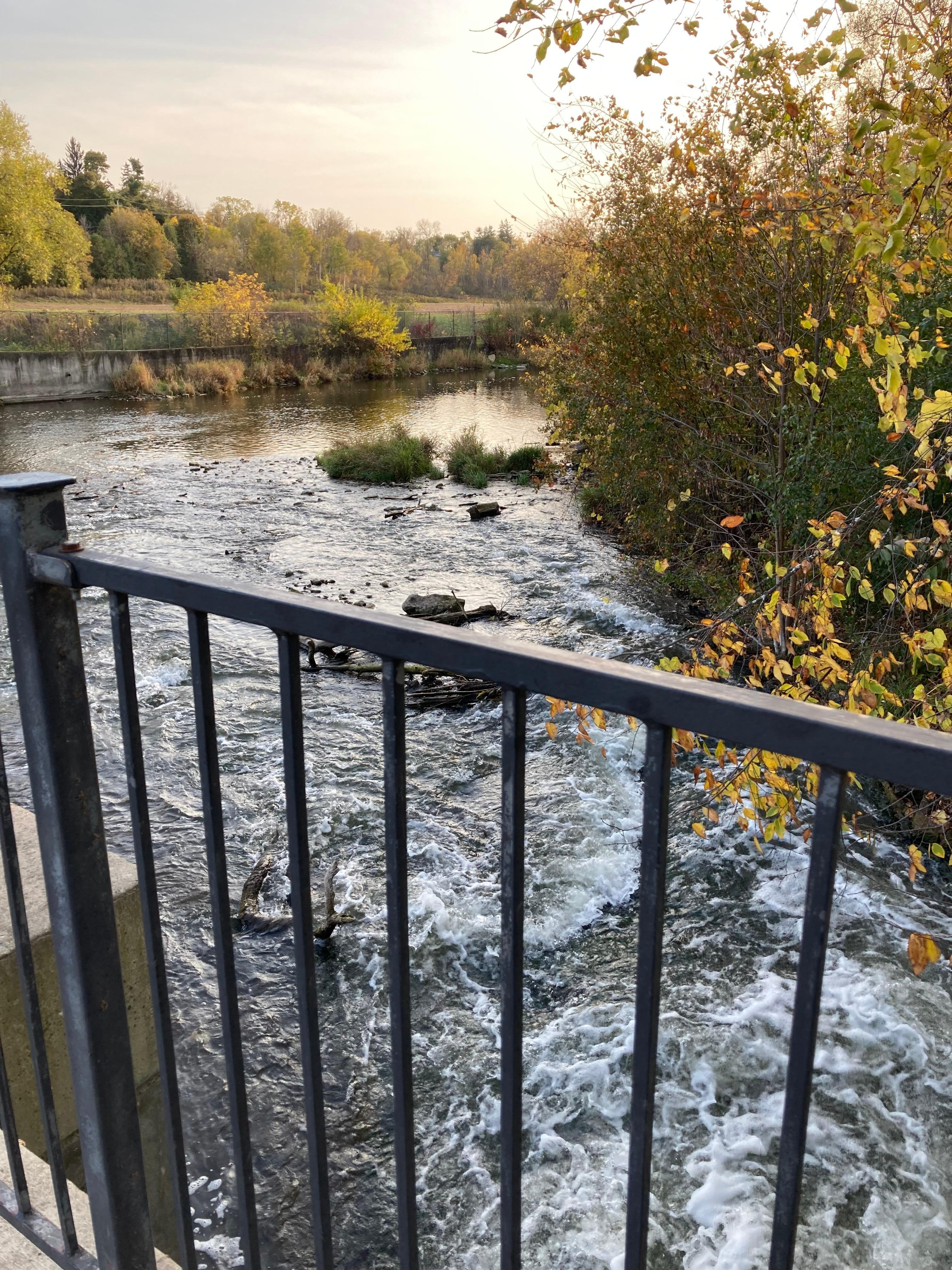 Old Cambridge Village area