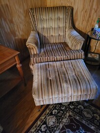 Living room chair