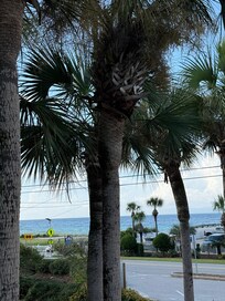 View from the balcony