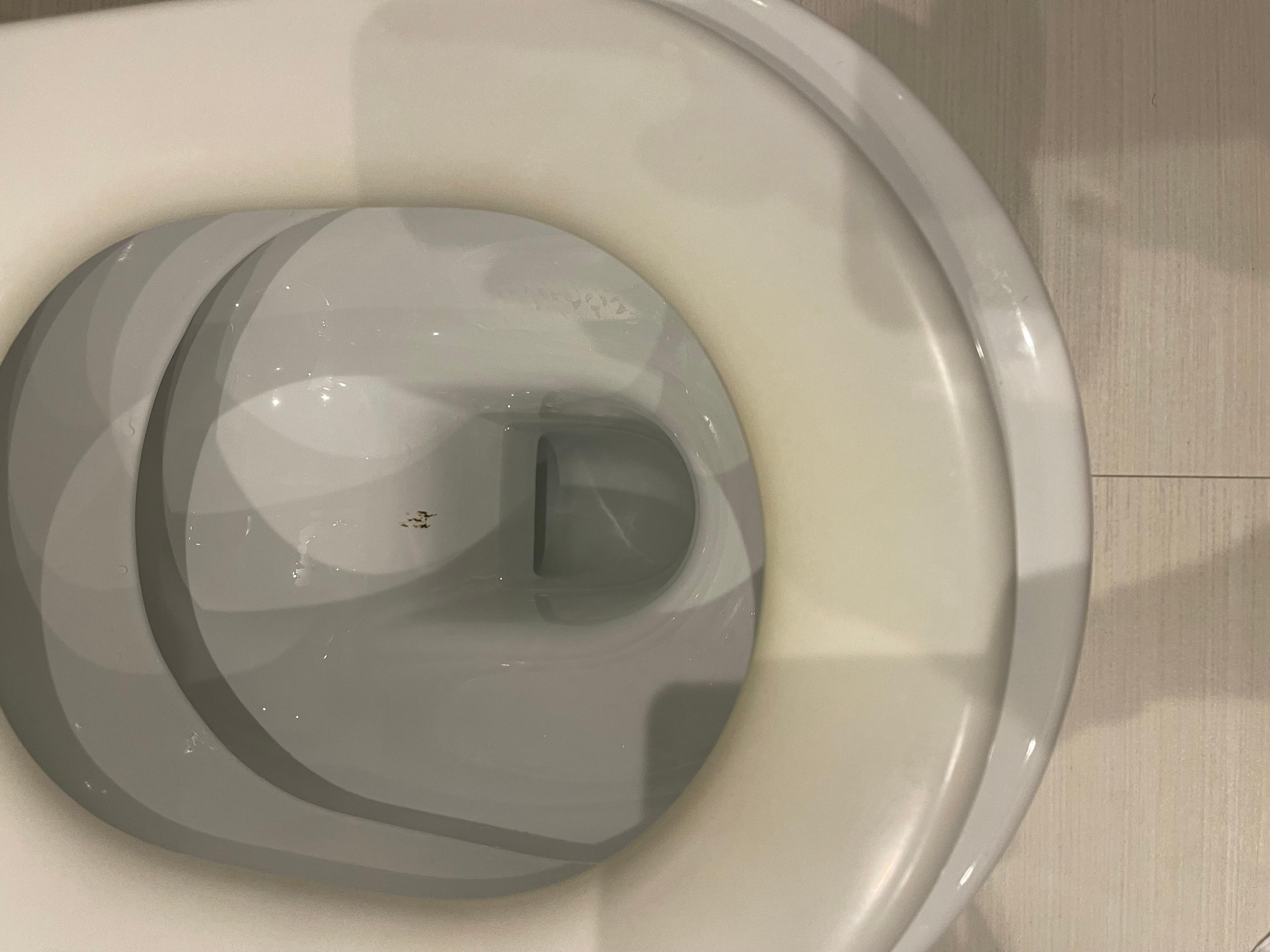 Toilet cover seat yellow the need to change it for new ones !!! Mold around the windows !