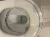 Toilet cover seat yellow the need to change it for new ones !!! Mold around the windows !