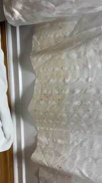 Mold and mildew on shower curtain