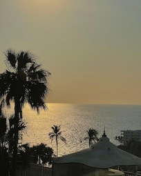 Foto de la vista