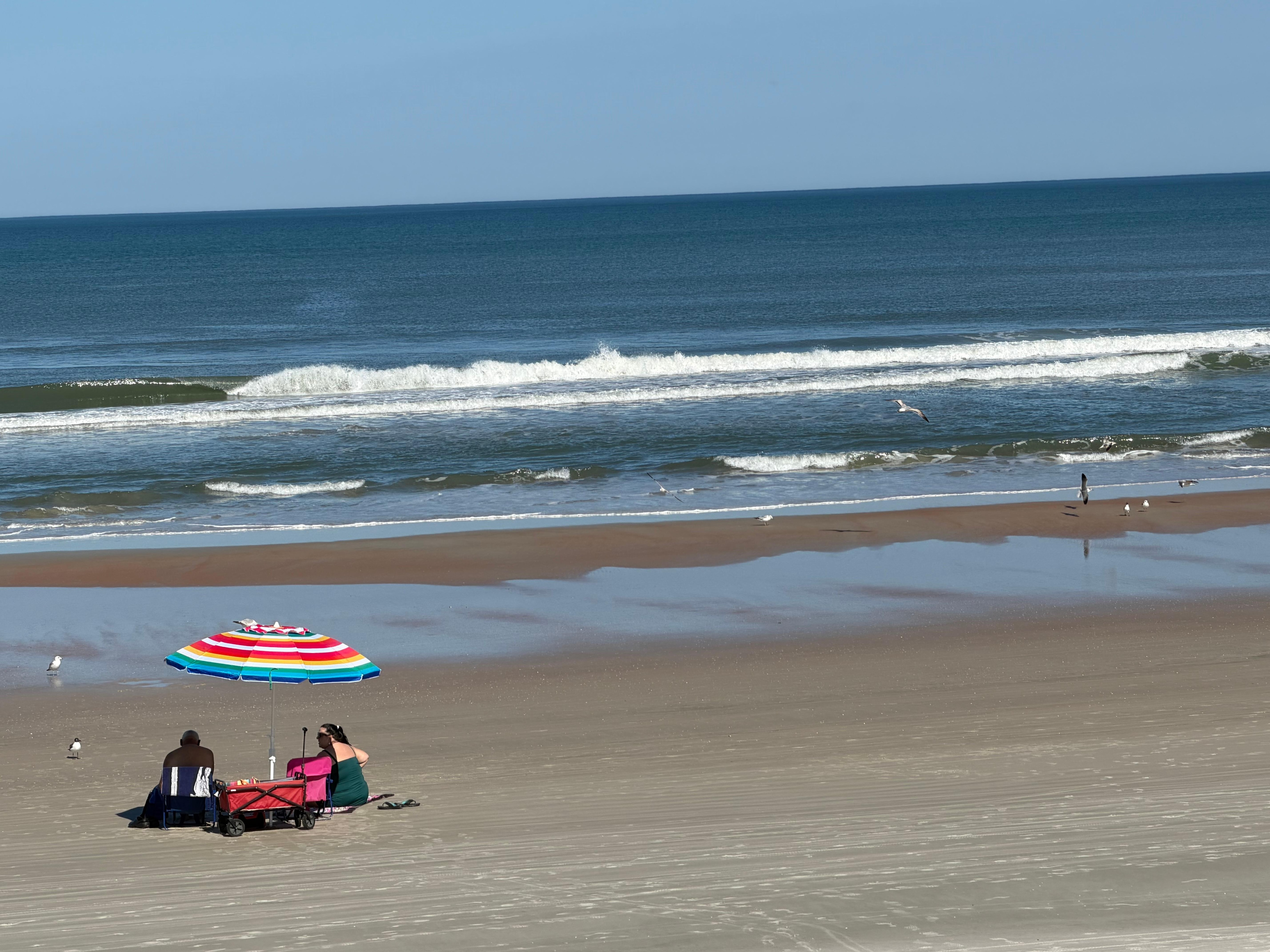Daytona Beach Shores 