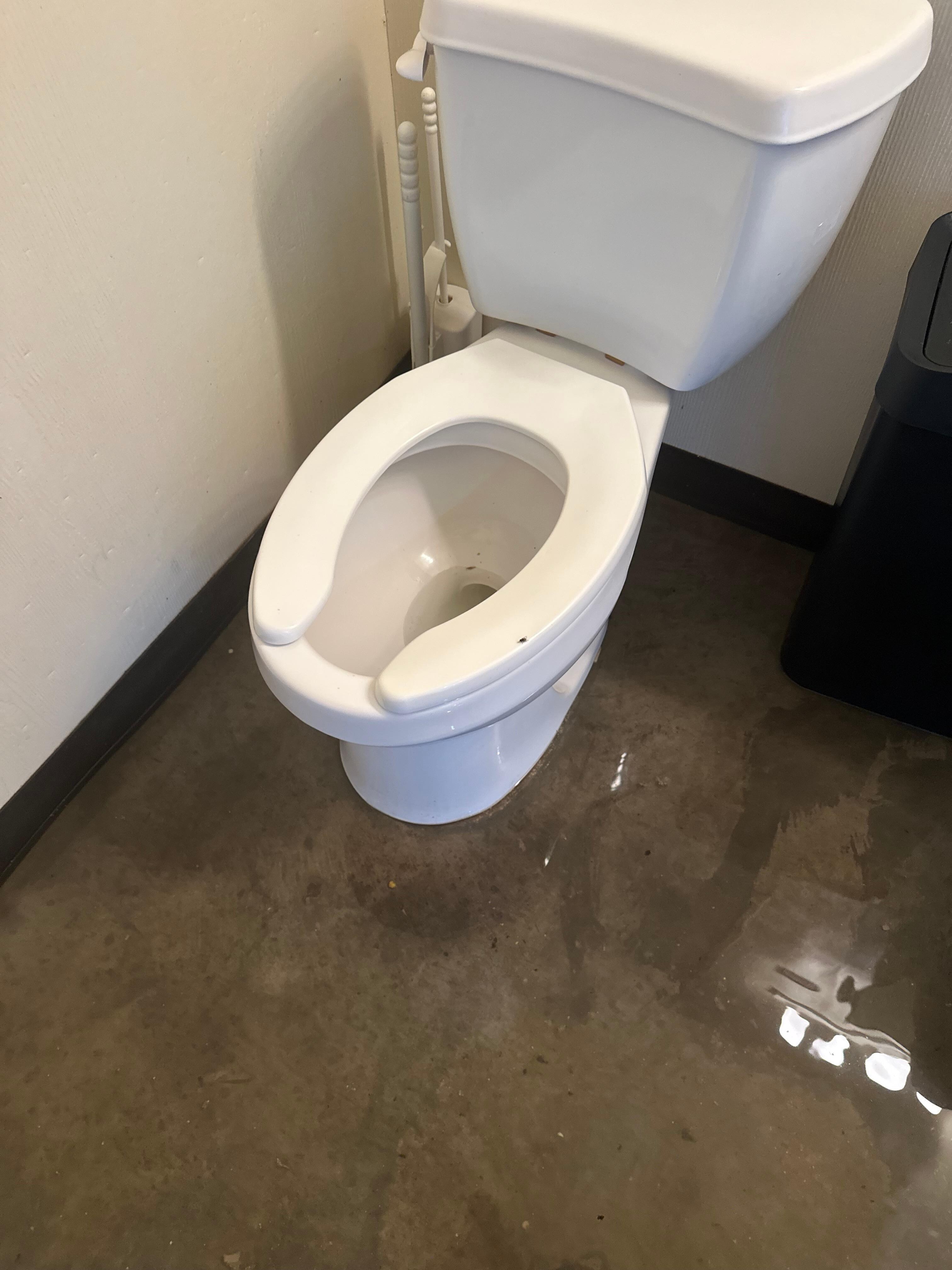 Sewage 2" deep in public area bathroom 1