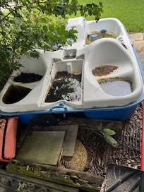 The advertised paddle boat amenity.