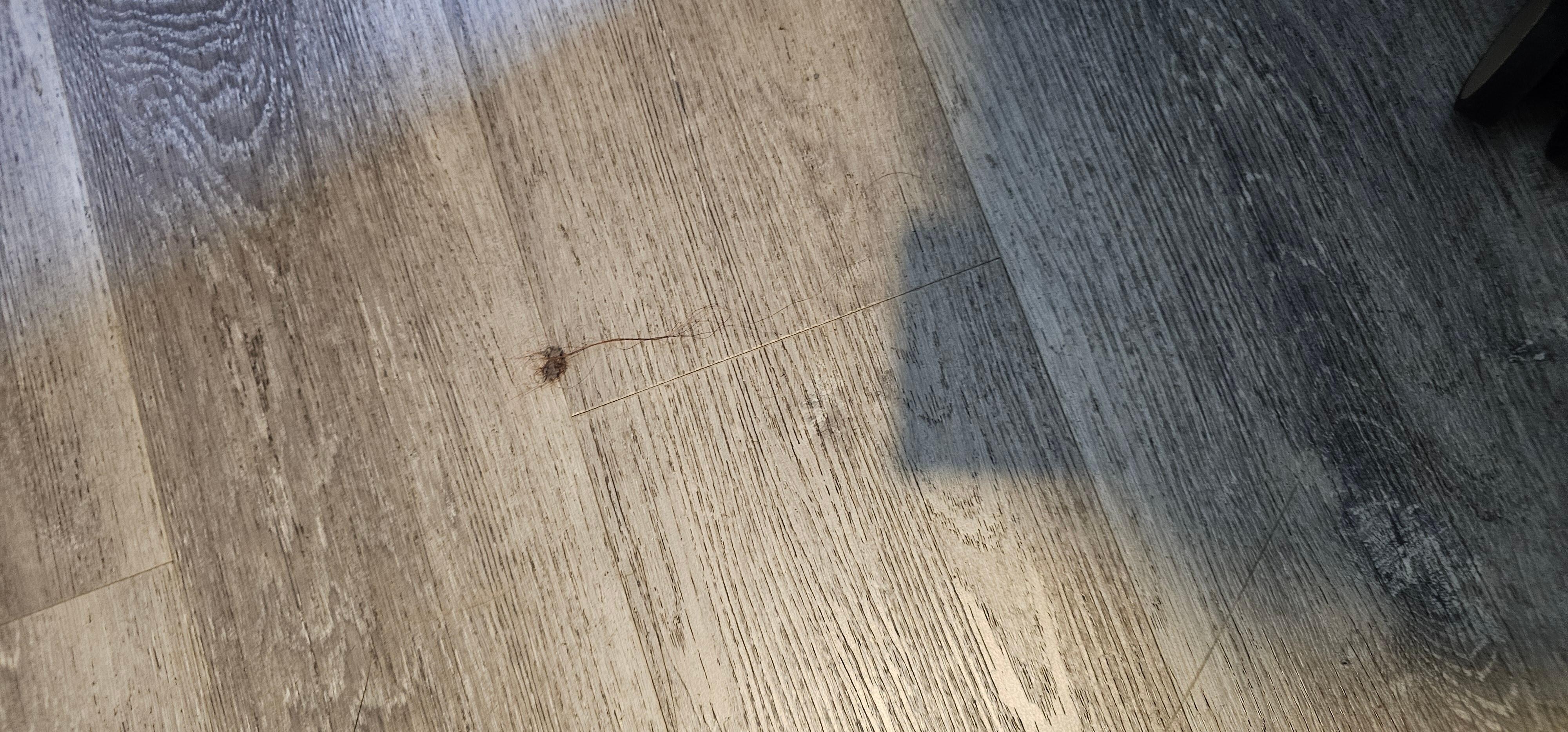 On the floor. 