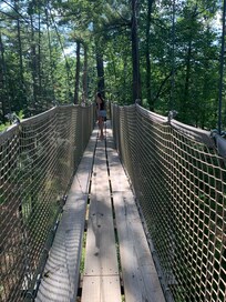 Tree top adventure