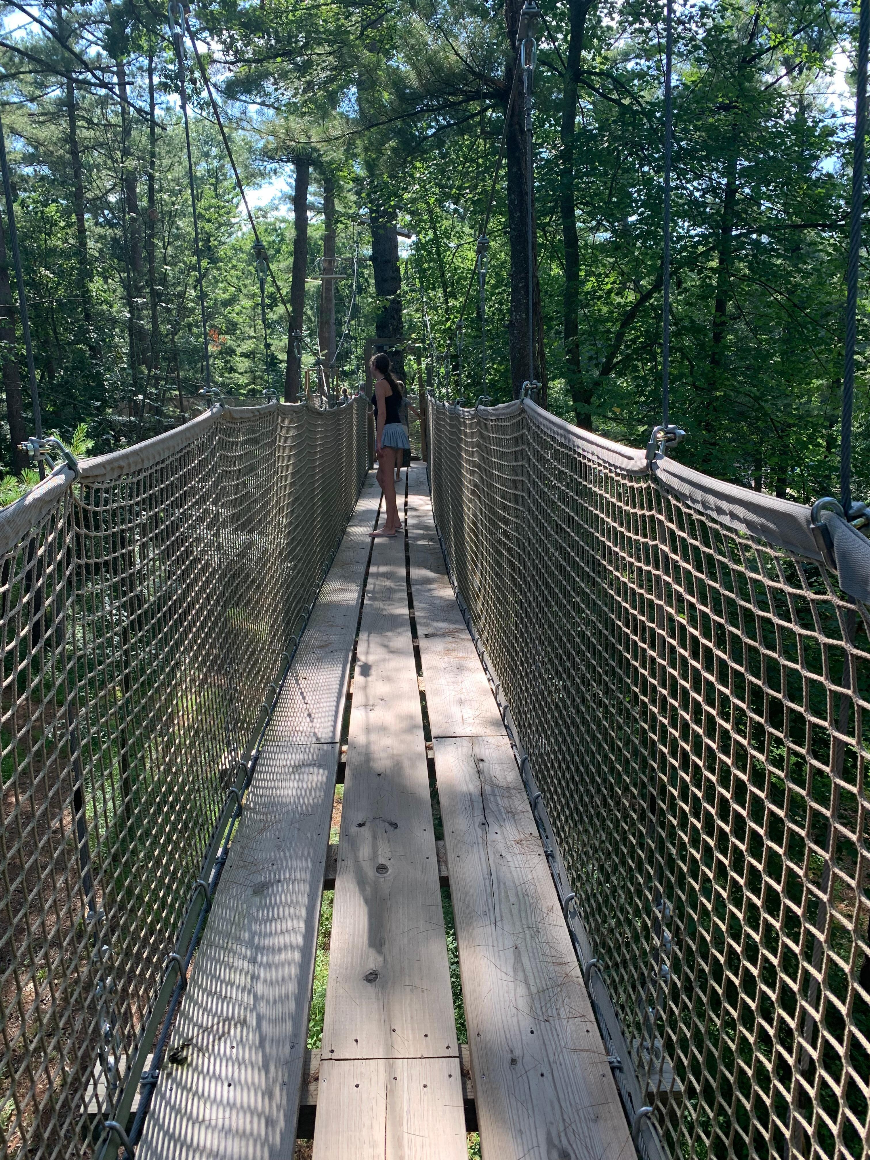 Tree top adventure 