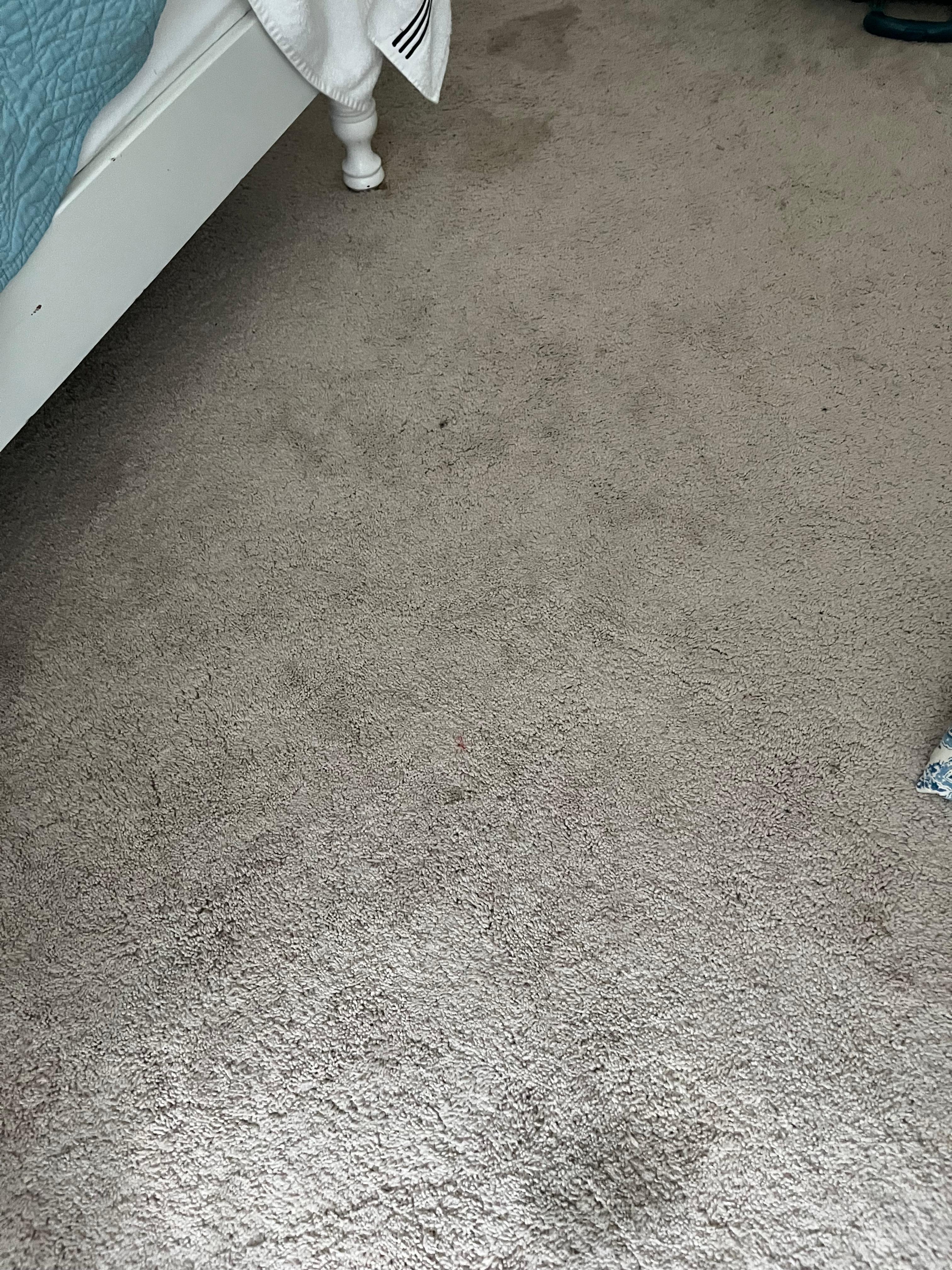 Upstairs bedroom had multiple spots of stained carpet.