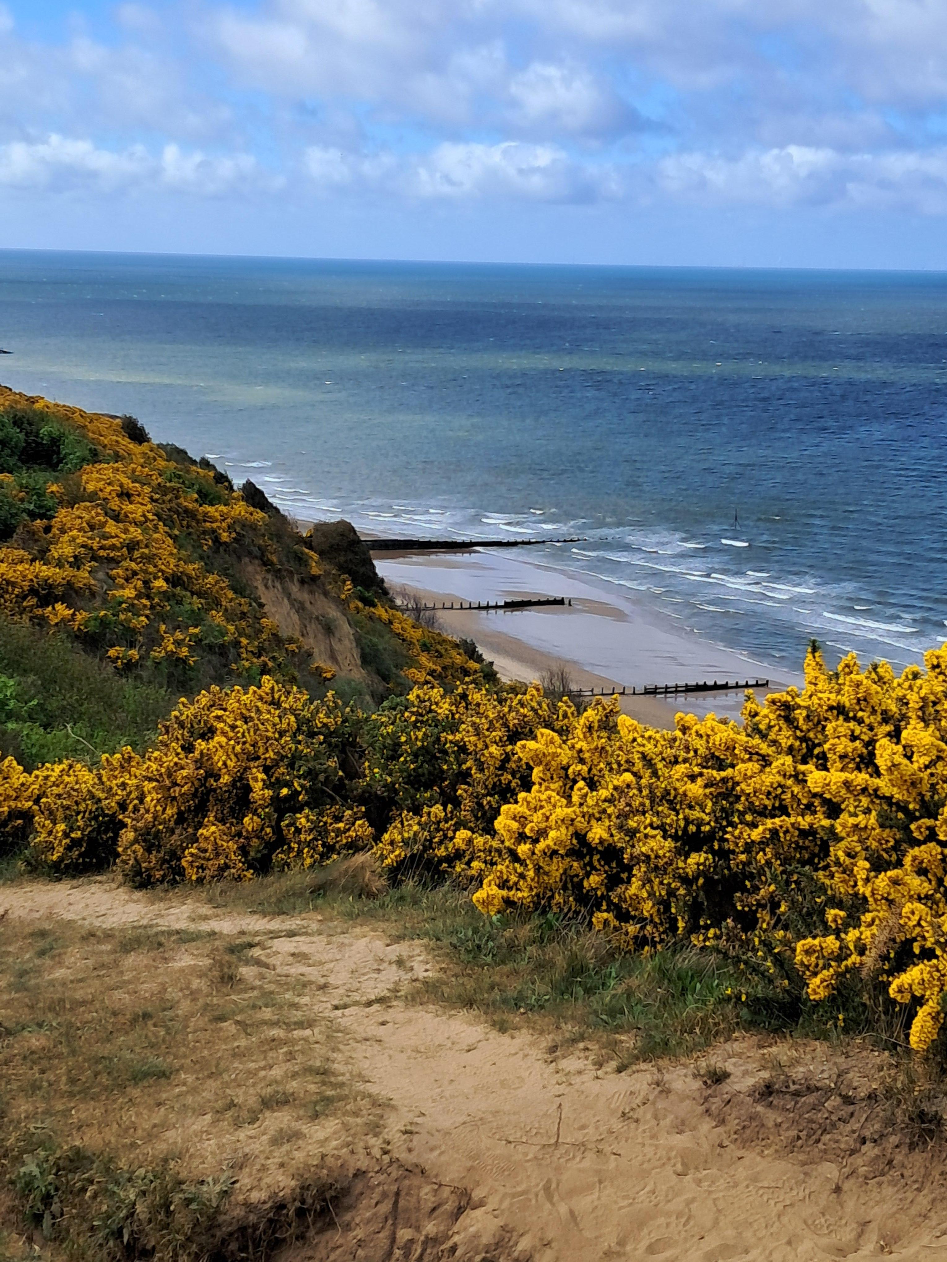 Cliff top walk
