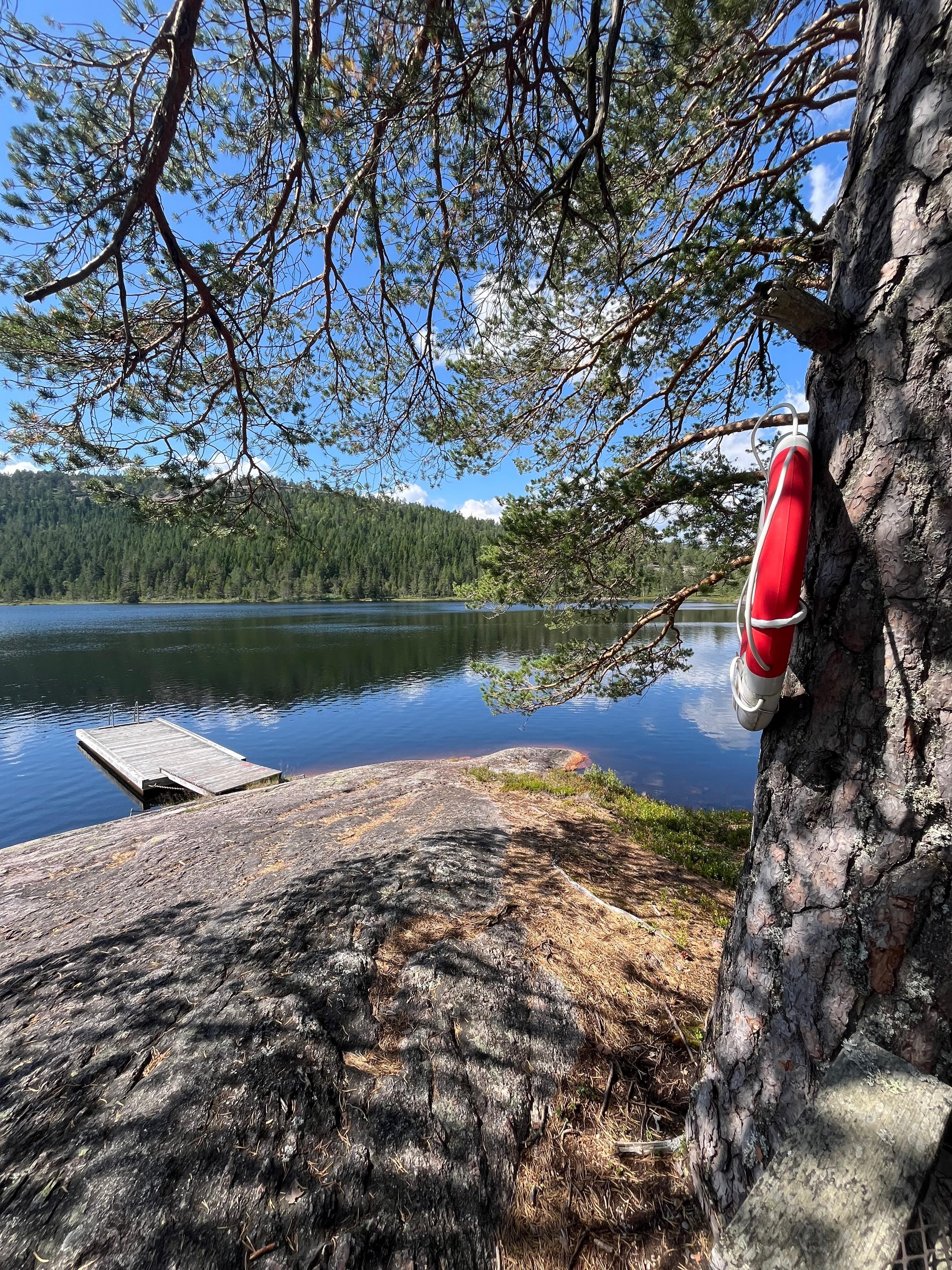 Schwimmstelle am See