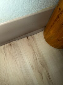 Dead bugs in a couple areas