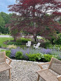 View from room’s patio
