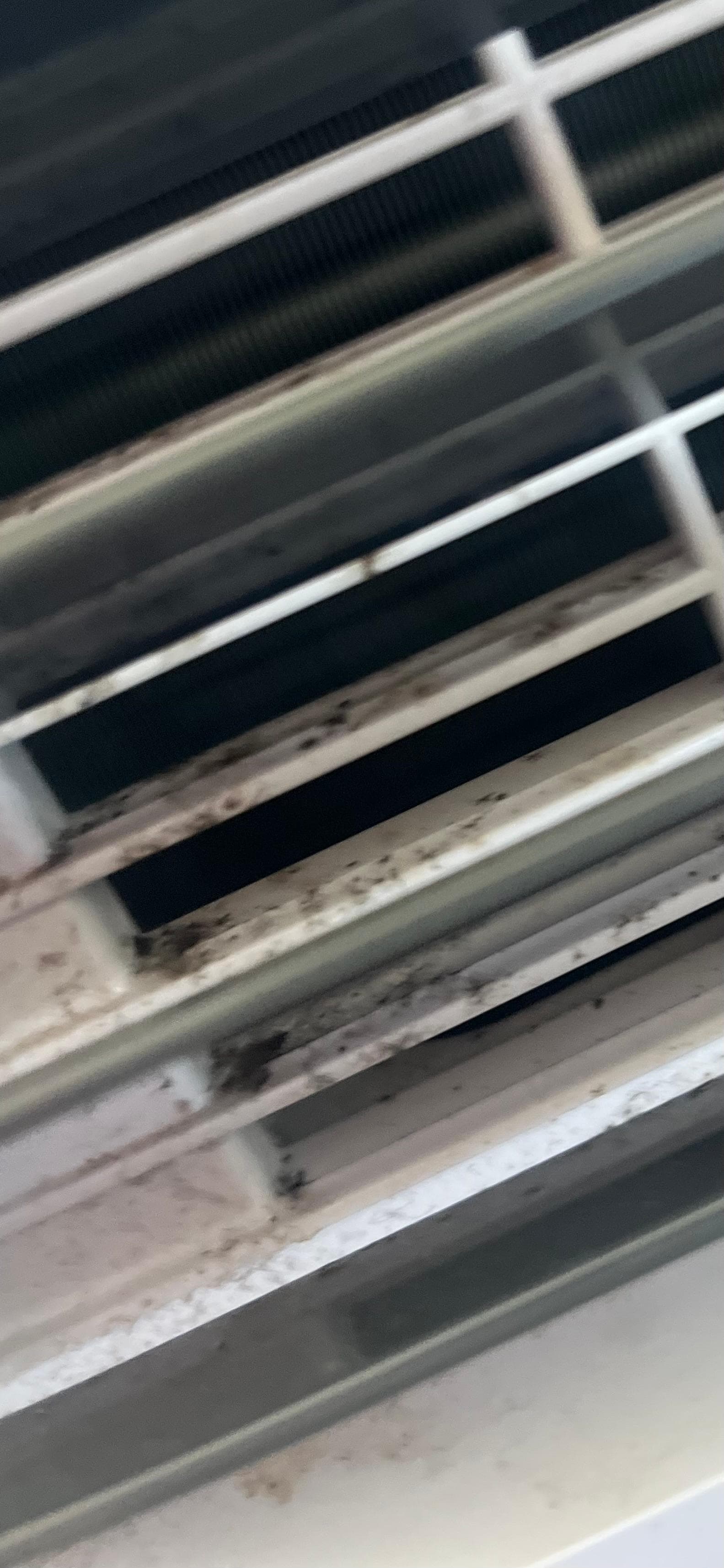 Mold in unit. 