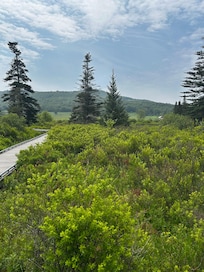 Canaan Valley National Wildlife Refuge