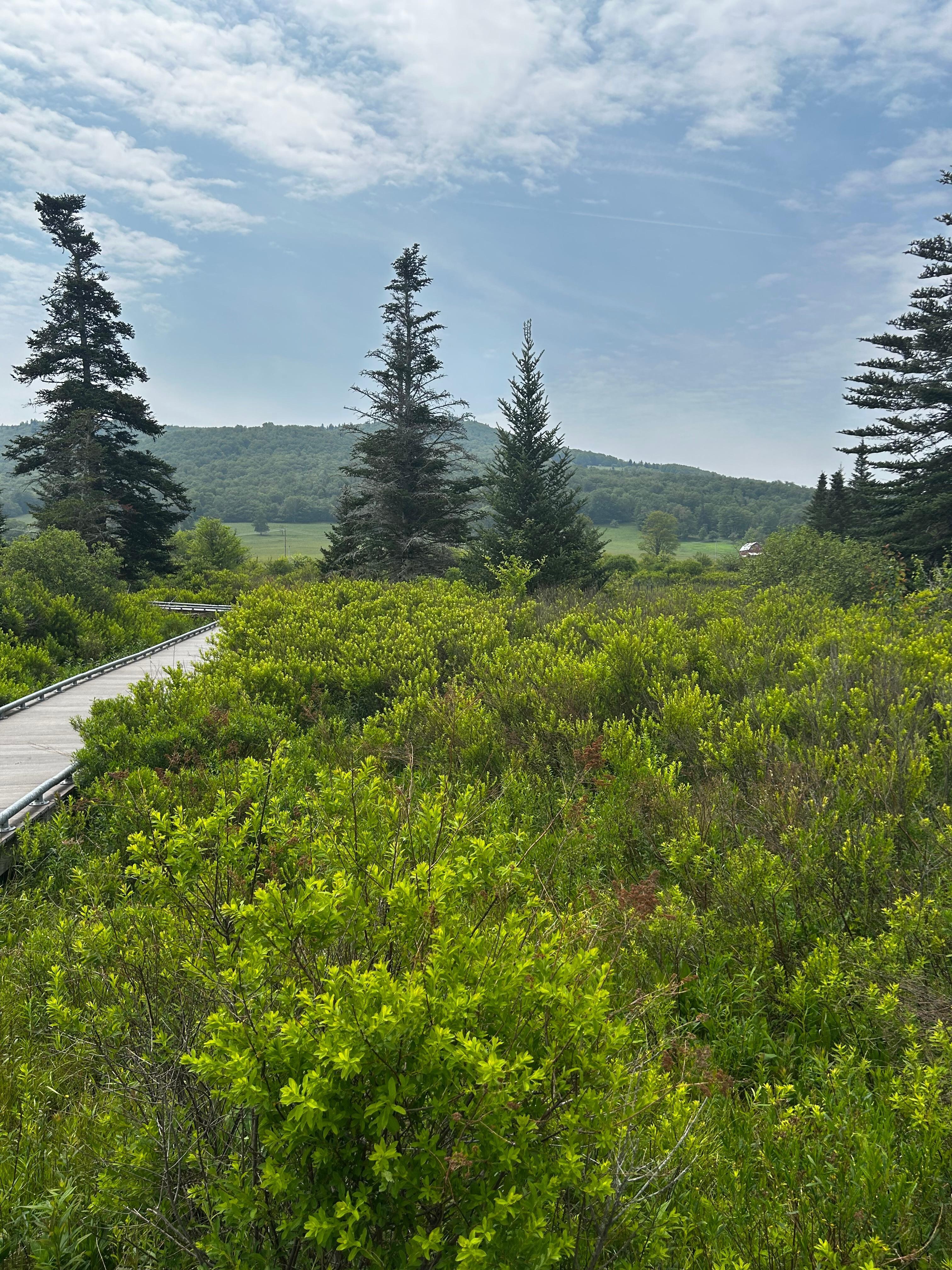 Canaan Valley National Wildlife Refuge 