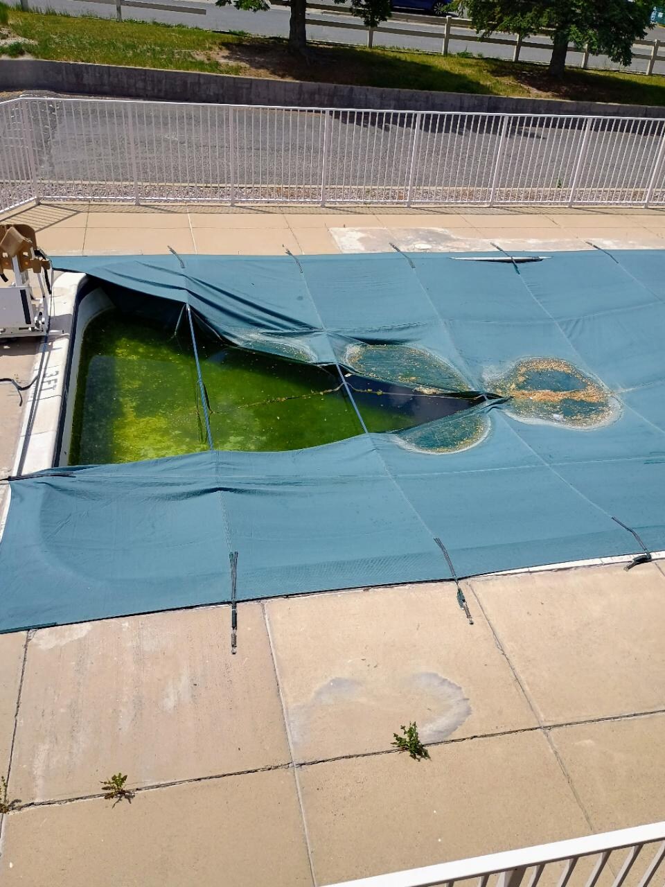 Web page shows a sparkling clean pool.  This is the reality. 