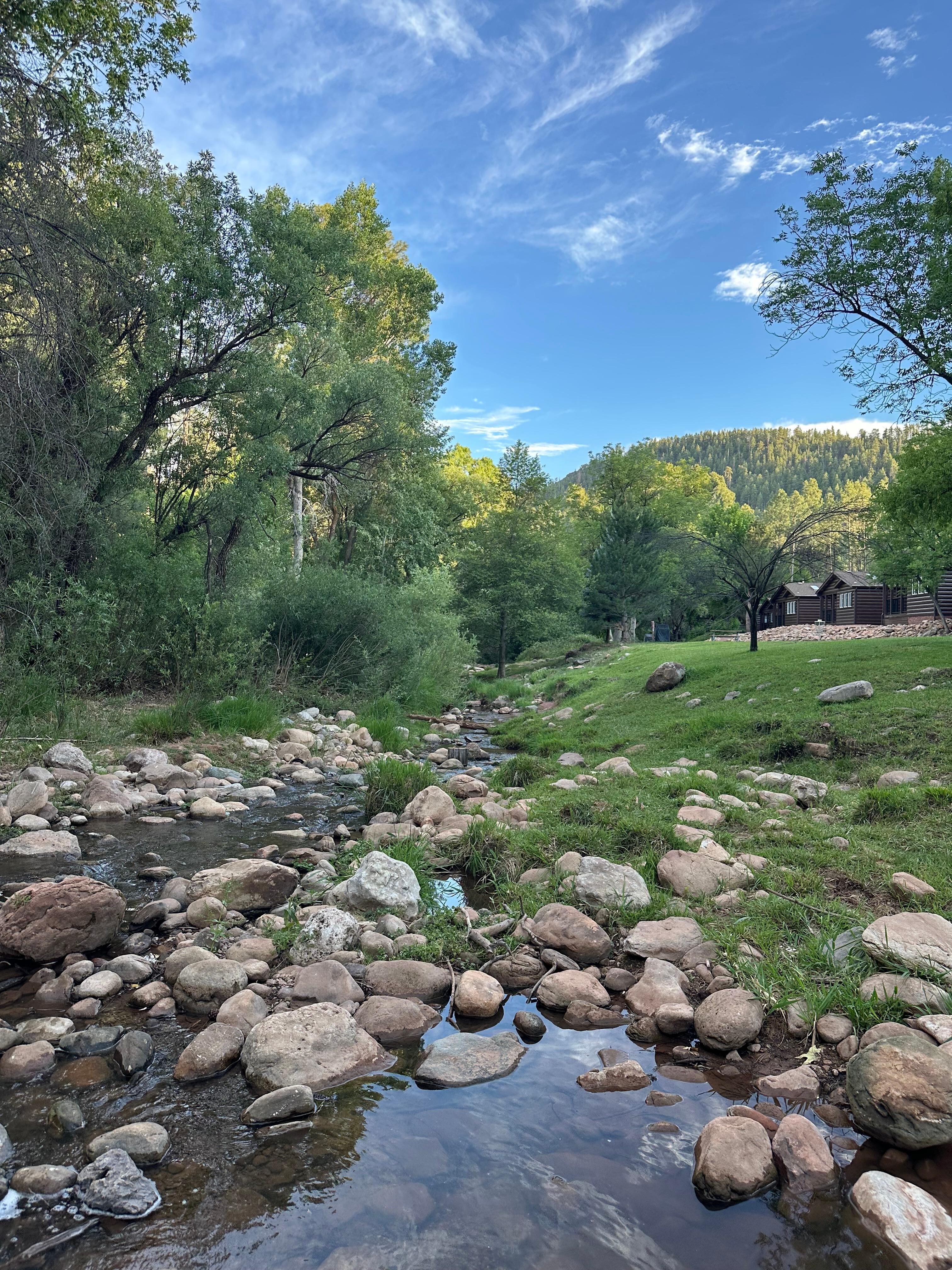The creek on the property.