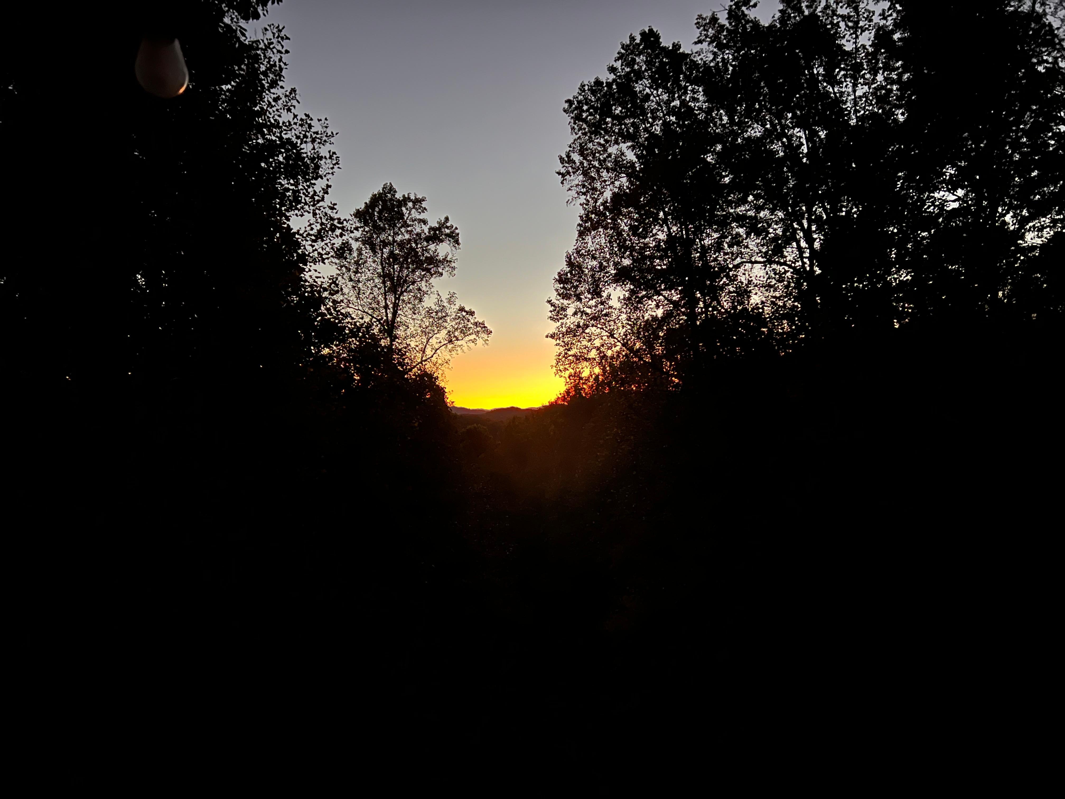 Sunrise view from patio.