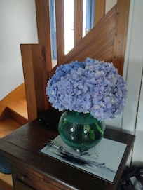 Riesengroße wunderschöne Hortensien als Deko, auch im Wohnzimmer waren noch liebevoll Rosen und eine kleine Hortensie in Vasen