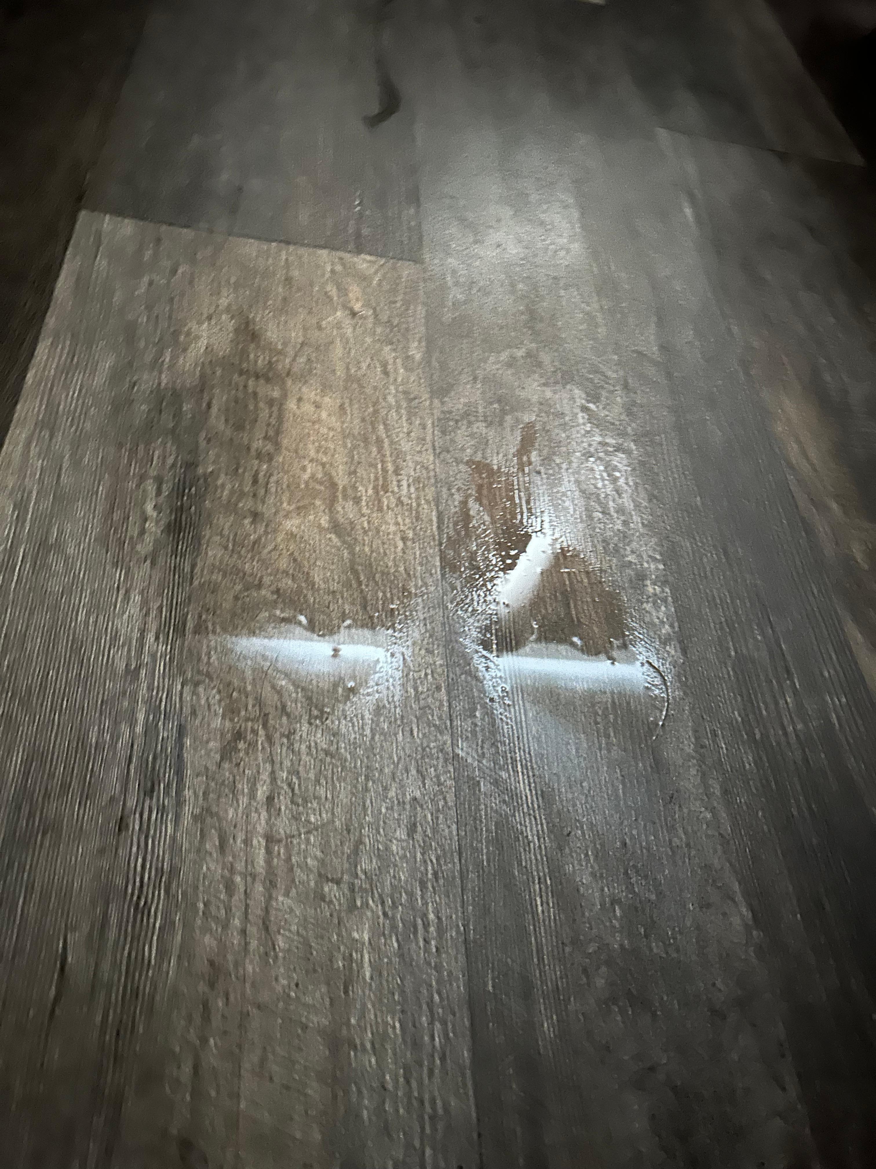 we woke up with water on the floor