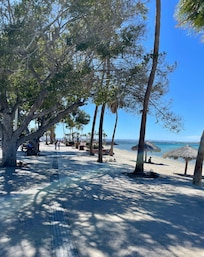 Across from the Malecon