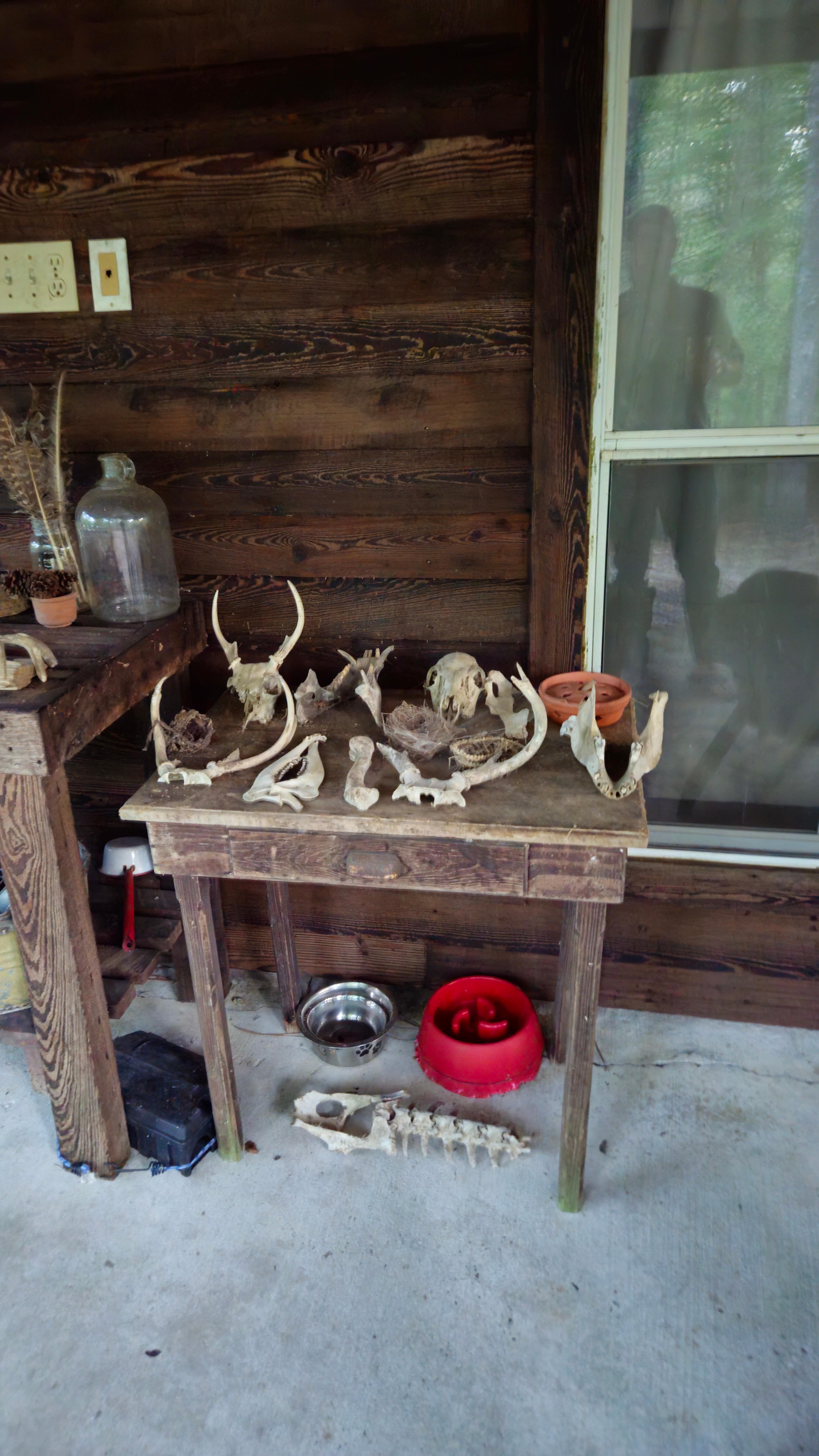 Complete with rustic scull collection/dog treats ;)