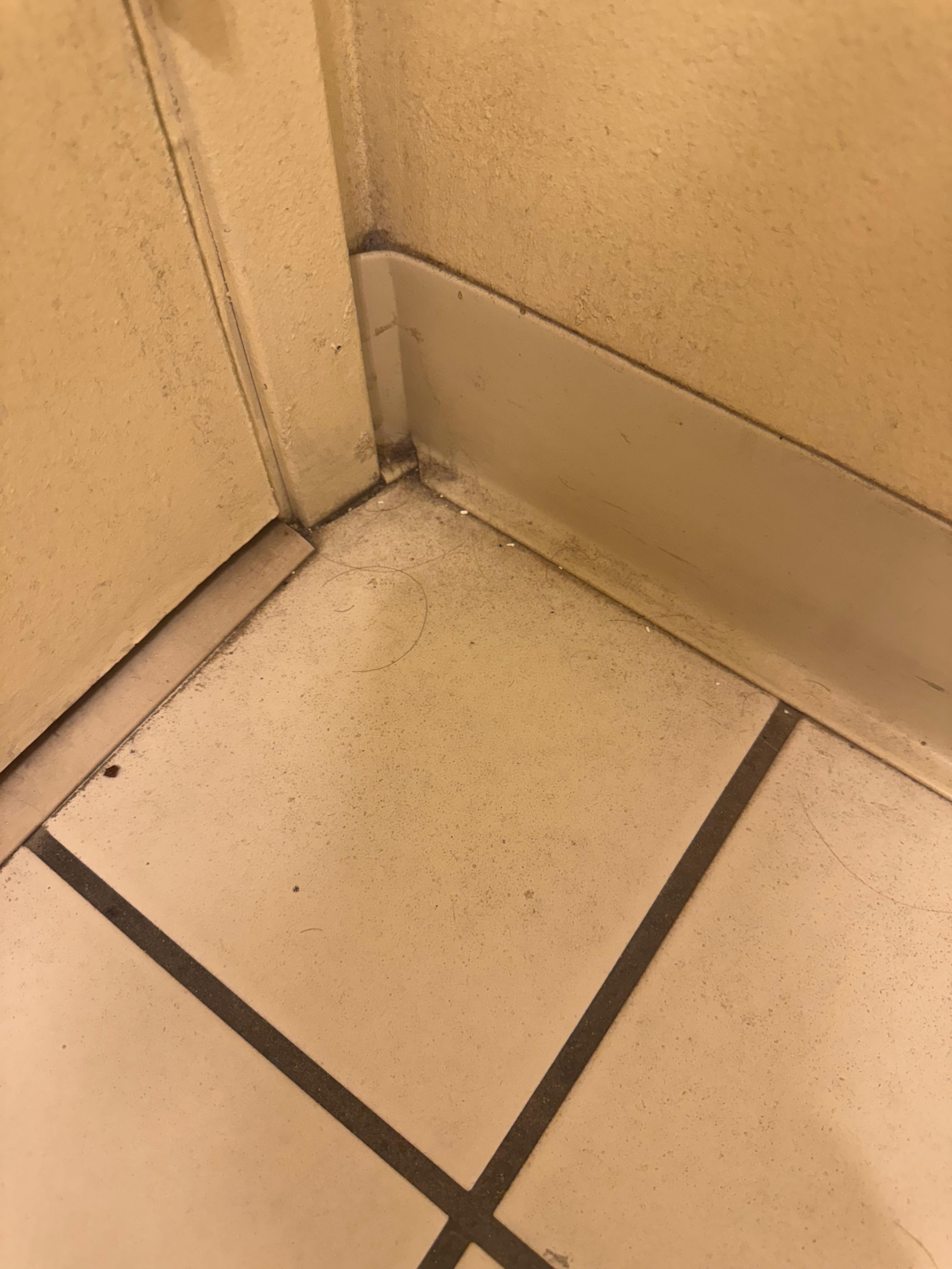 Bathroom floors