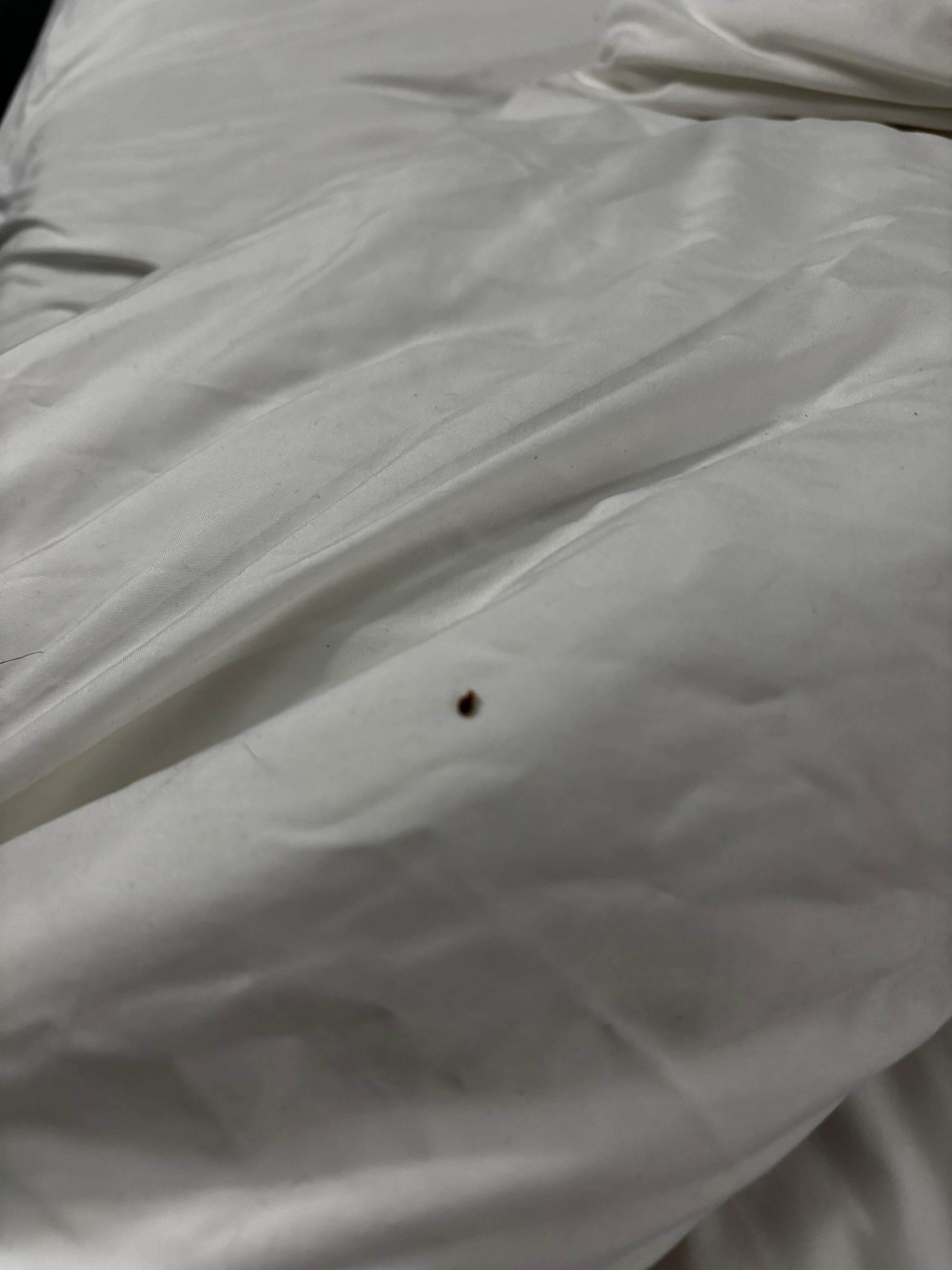 Lil guy didn’t consent to being filmed! 
