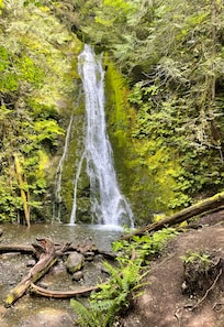 Madison falls in the Olympic National forest