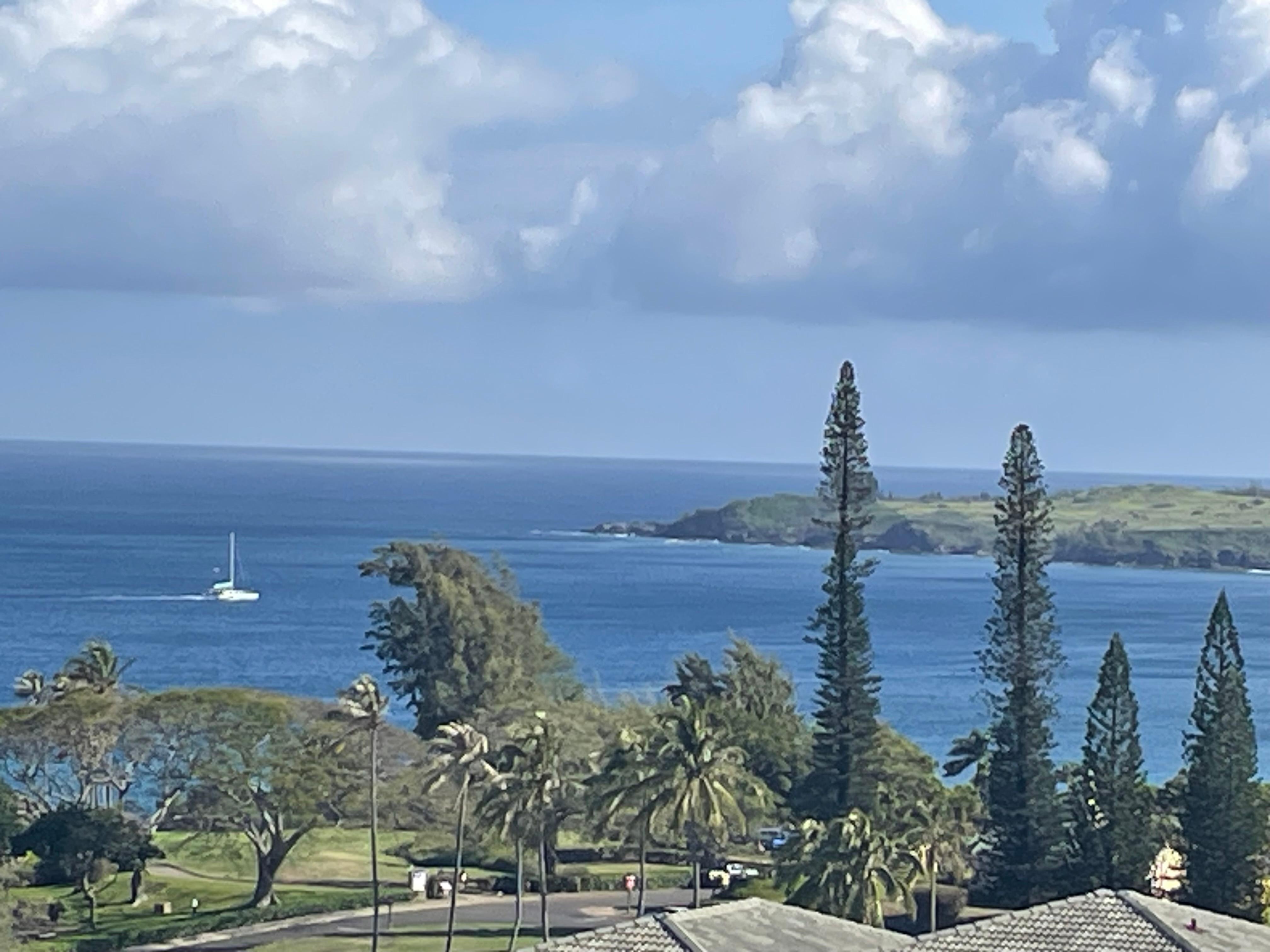 This is the daytime view from the lanai