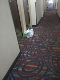 Trash in the hallway. Sat there 2 days