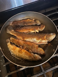 Fresh trout