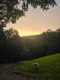 Beautiful sunset we enjoyed each evening!