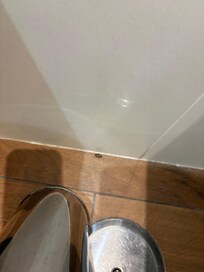 Leider einen Mitbewohner gehabt