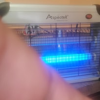 Flying bugs ,that I had to get my zapper to kill them.