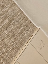 Mold along wall