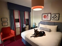 Oops, she only went on the bed for the photo. She slept on the floor!