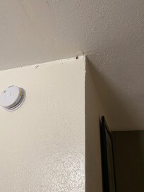 One of over 10-15 that had to be thrown out before my wife would sleep in here.