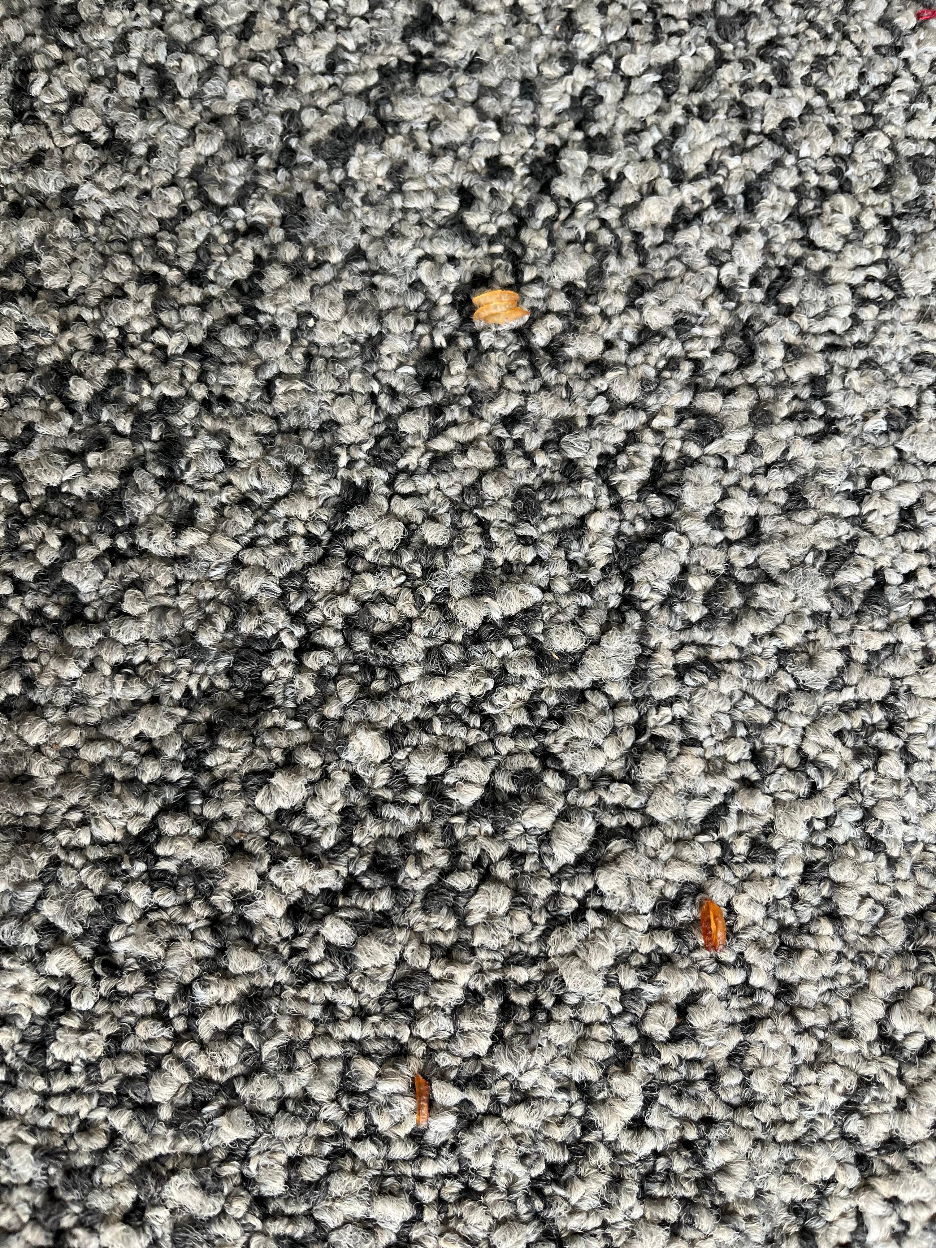 Dried up food on the floor