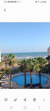 The view!