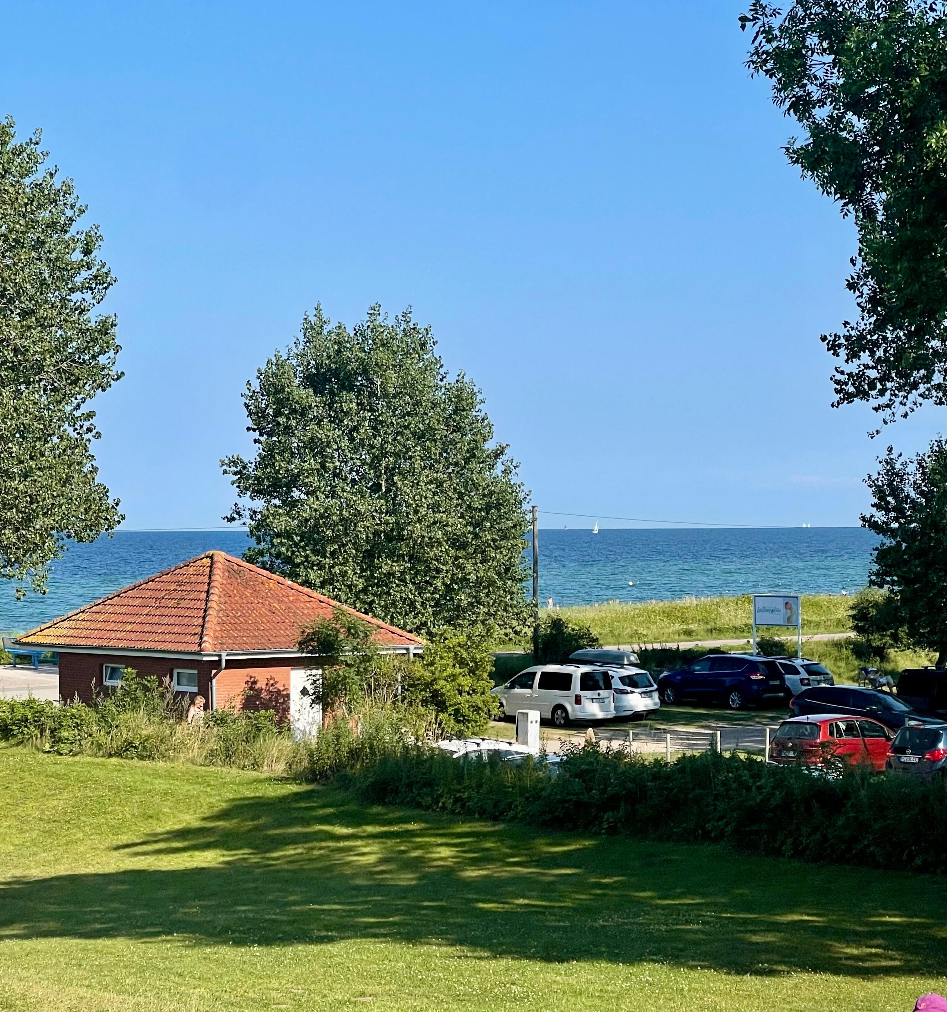 Ausblick vom Sofa aus (PS: ich habe mich nicht verschrieben 🥰)