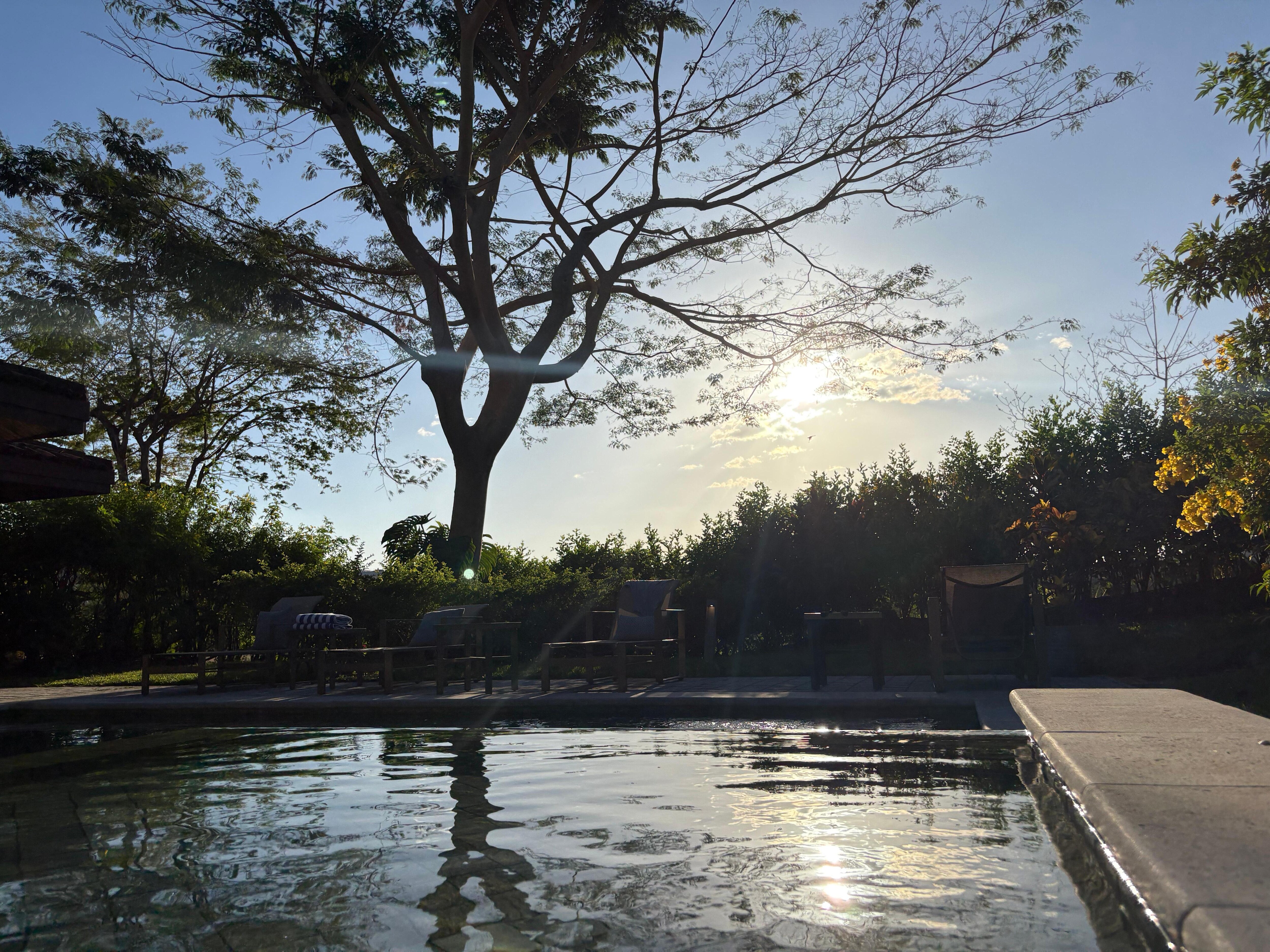 View from the shallow pool 