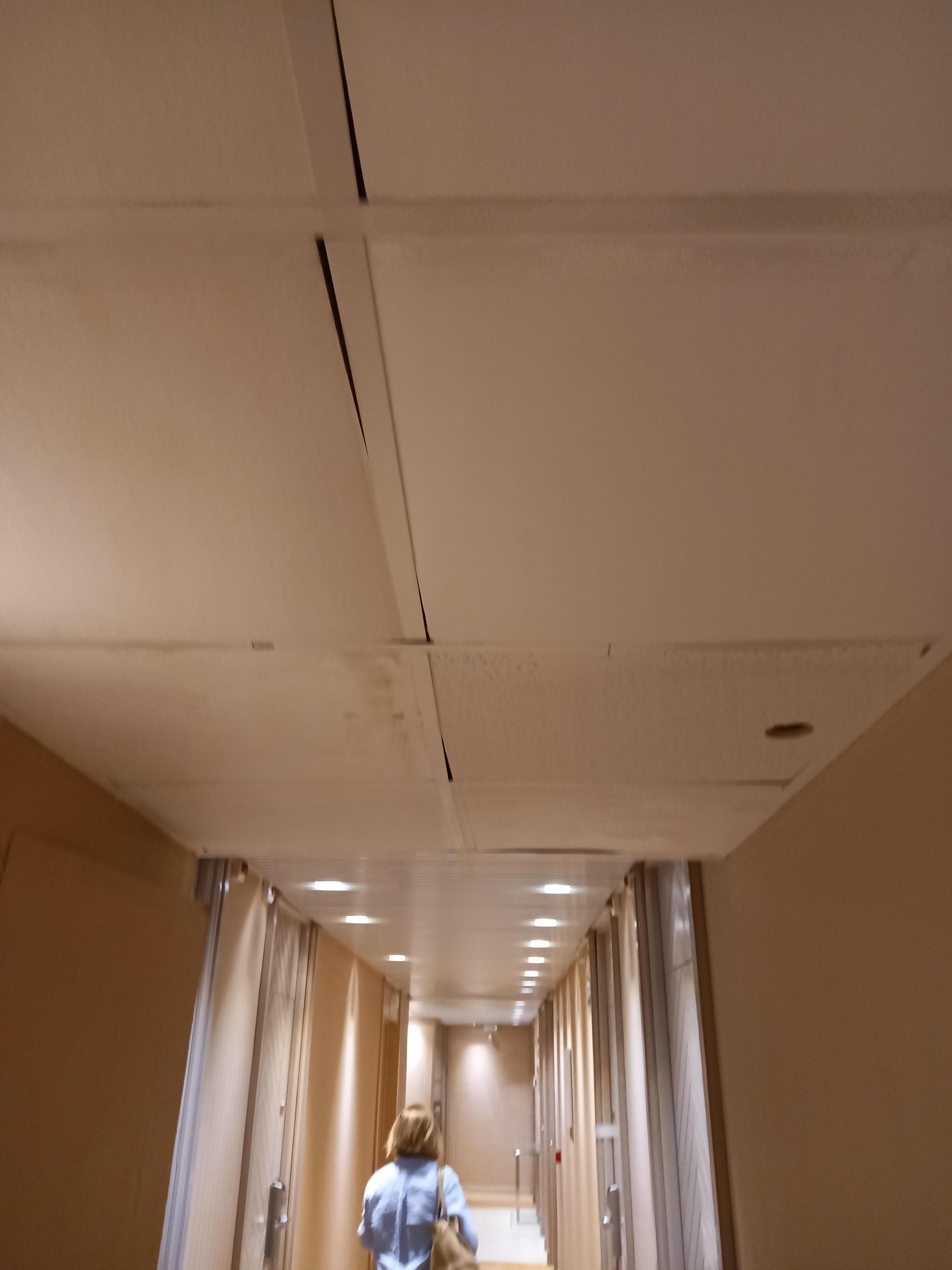 Ceiling damage