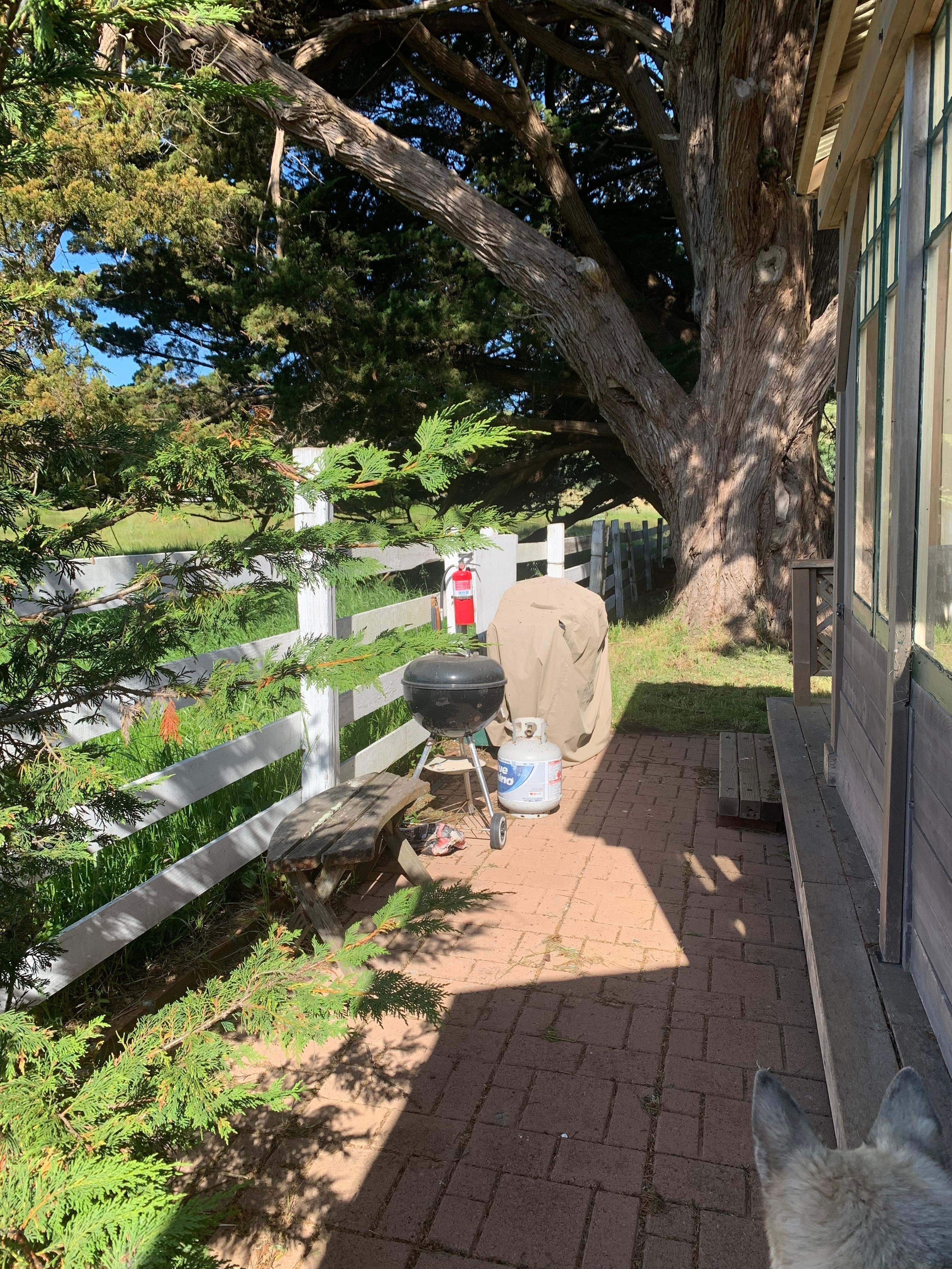 Safe fenced side yards with bbq equipment. 