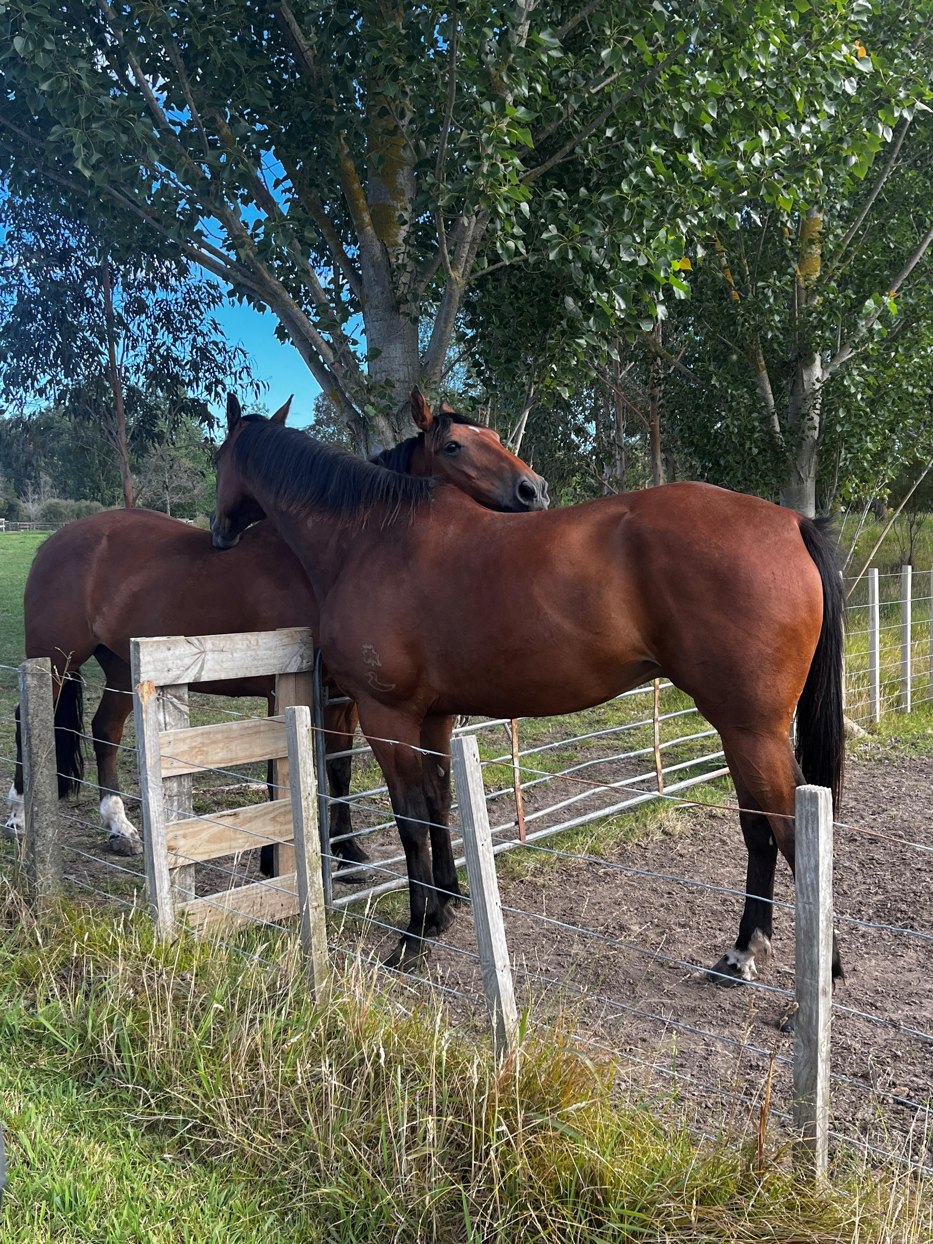 Great Rural Setting!