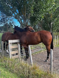 Great Rural Setting!