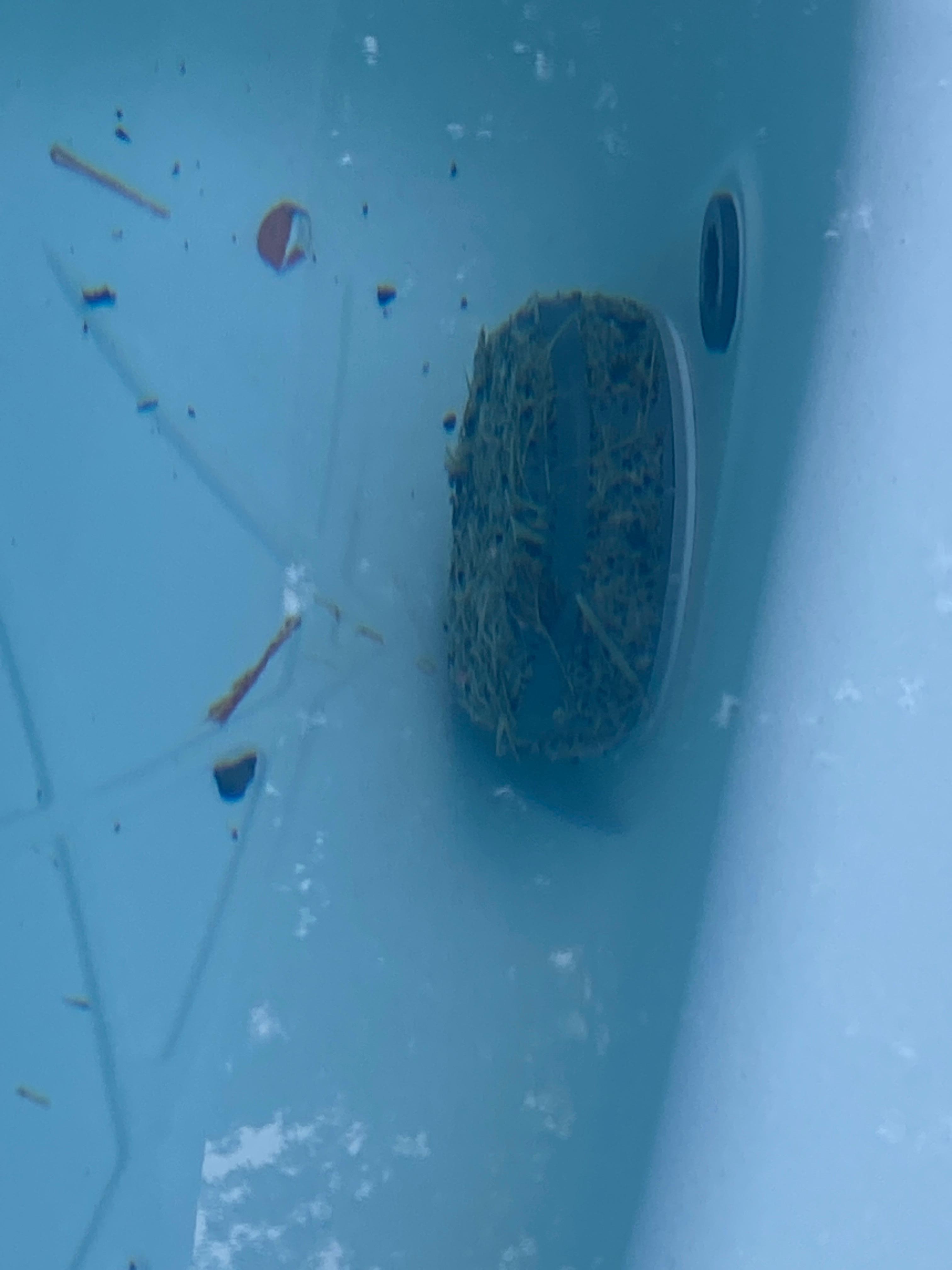 Hot tub intake covered in grass