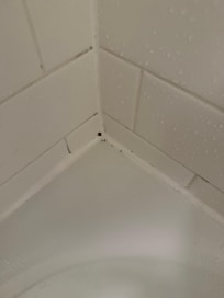 Mold in shower